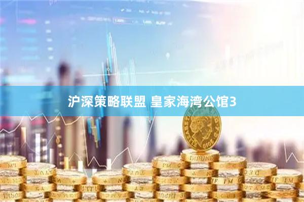 沪深策略联盟 皇家海湾公馆3